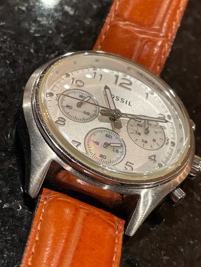Fossil Flight628647446745611221