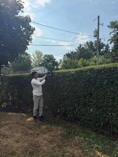 General Labour, View more