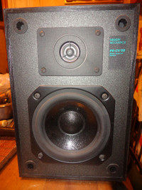 Design Acoustics ps.cv-55 point source series loudspeaker