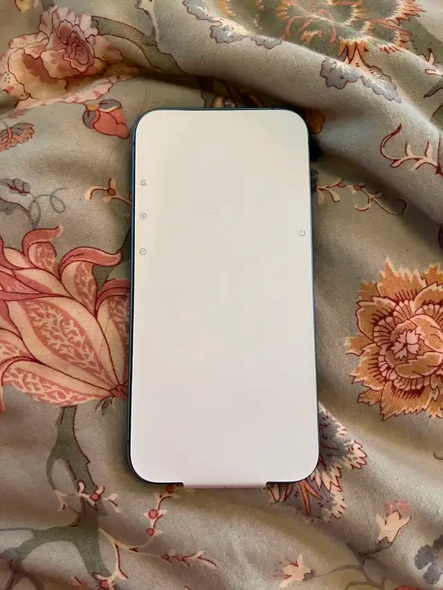 iPhone 1463436970544769121