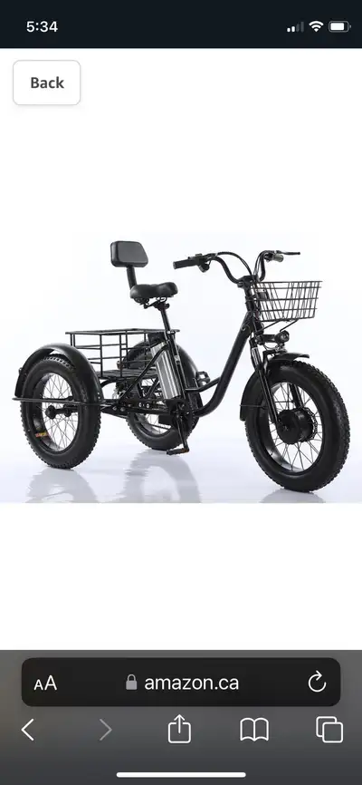 Seniors 20”electric tricycle City Fat Tire mountain bicycle 2500 W 1000V Removable battery 3 Wheels,...