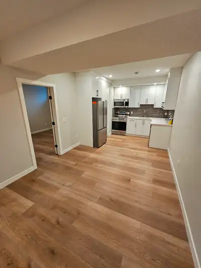 Brand New Legal Basement Suite in Livingston