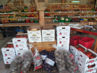 Kiosque fruits & légumes et terre à vendre.Haute Laurentides,