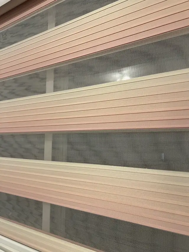 Zebra Blinds Roller Shades Curtain64639724127619123