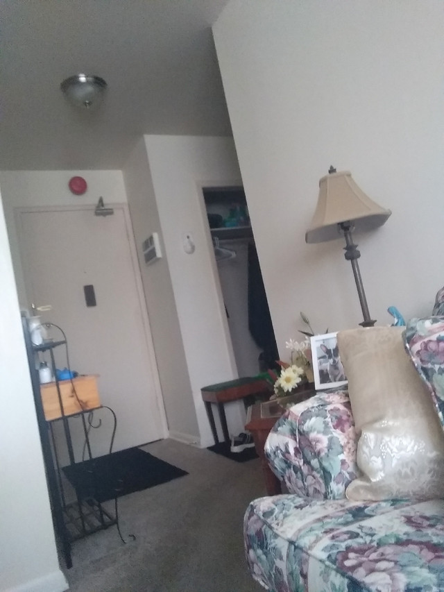 One bedroom apt for rent Long Term Rentals Winnipeg Kijiji
