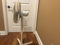 18”oscillating fan.  Canmaximum height of 55 inches.