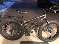 Mongoose Mushaboom fat tire bike.