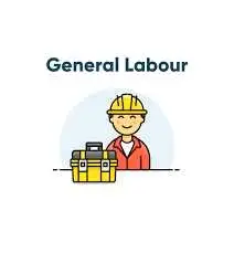 Good afternoon. My name is Paulo, and I'm looking for general labour work after 3:15 pm. I'm 30 year...