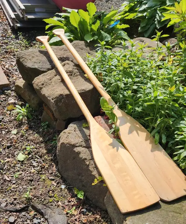 CANOE with PADDLES62864743798531123