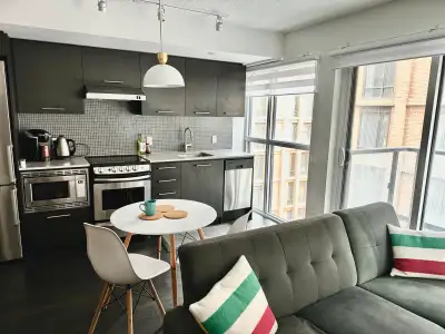 1 bedroom furnished DT Toronto Condo (King/Spadina) from Sept 1