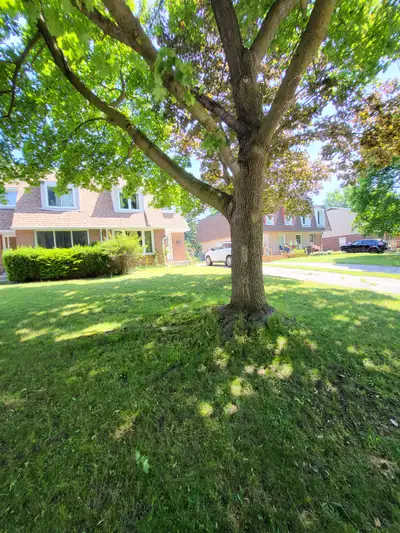 Semi-detached House for rent