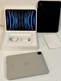 iPad Pro 11 256gb WiFi (4th gen) + Apple care+ & Zugu Case 