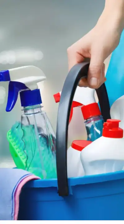 Reliable Part-Time Cleaner Available – Hamilton & Oakville Area, View more