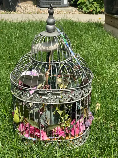 bird cage, View more