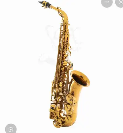 Does anyone have a saxophone they don’t want? , View more
