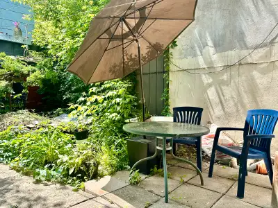 3 1/2 + Patio Ⓜ️ Papineau :MEUBLÉ Équipé + Internet Inclus.