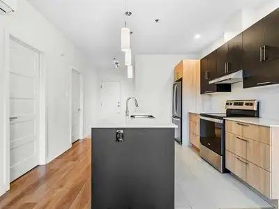 Lease takeover until Dec 31st -  1 Bedroom+ big Den