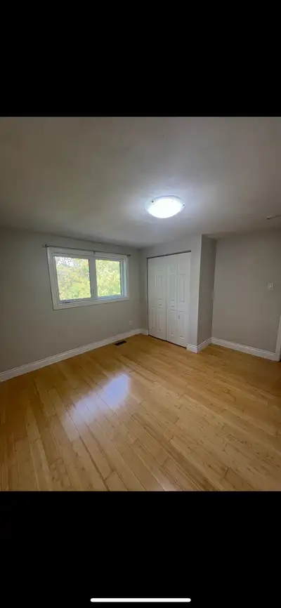 Room for rent in Brampton downtown Walk in distance to Algoma university , bus stop , go station , g...