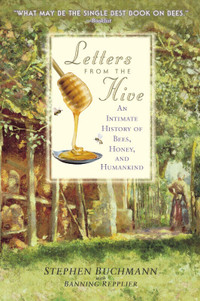 Letters From The Hive ~ Intimate History of Bees, Honey & Humans