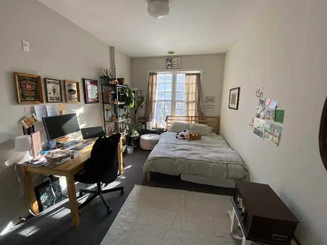 Photo 4
