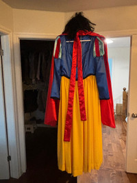 Snow White outfit 