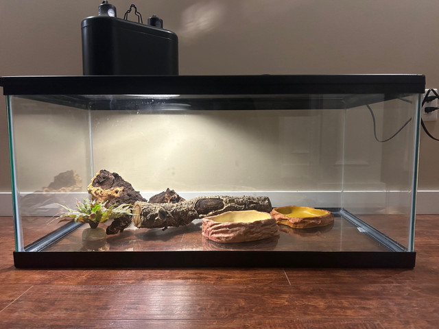 40 Gallon tank with supplies  in Reptiles & Amphibians for Rehoming in Oshawa / Durham Region