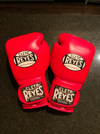 Cleto Reyes 14oz training gloves