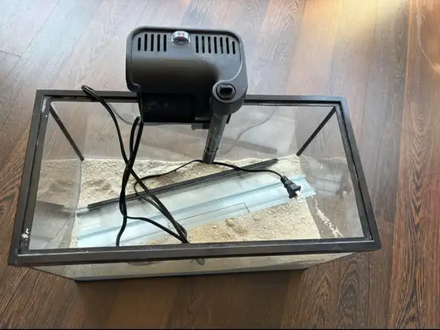 5 Gallon Tank + Filter + Lid + Caribsea in Fish for Rehoming in London - Image 3