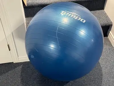 Ballon d'exercice de fitness, View more