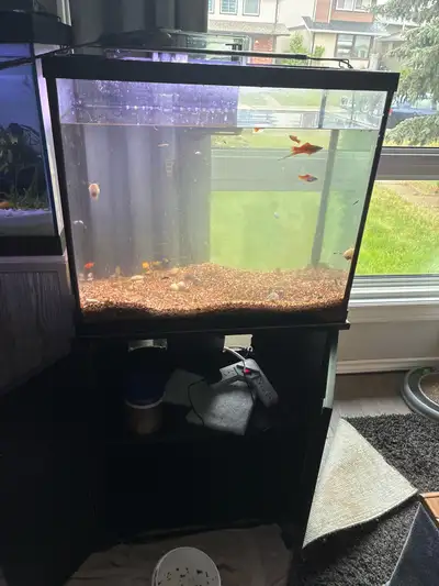 28 gallon tank & stand, View more