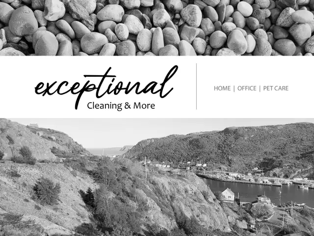 Cleaning Services for Home, Office, AirBnB (No hosting)