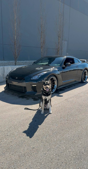 2014 Nissan GT-R Premium 