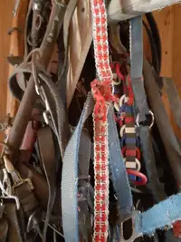 Two complete harnesses previously worn by beautiful Clydesdales