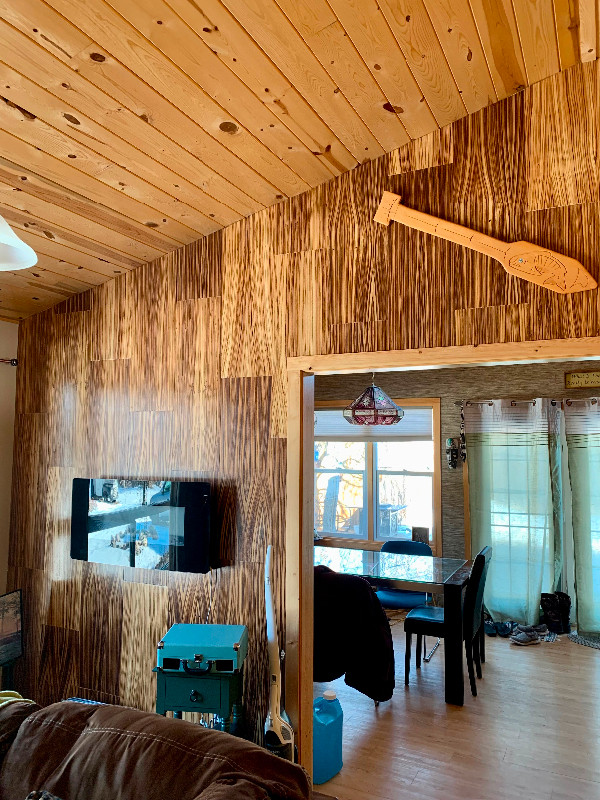 Cozy year round cabin on 2 Lots for sale beautiful Sandy Beach