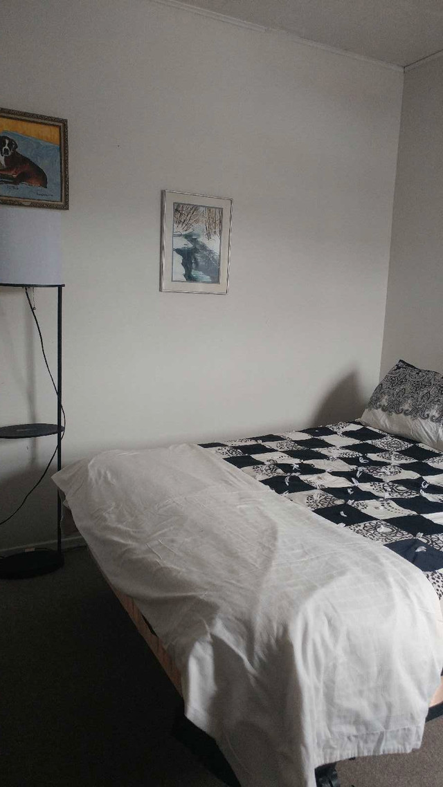 Room For Rent Brighton in Room Rentals & Roommates in Trenton
