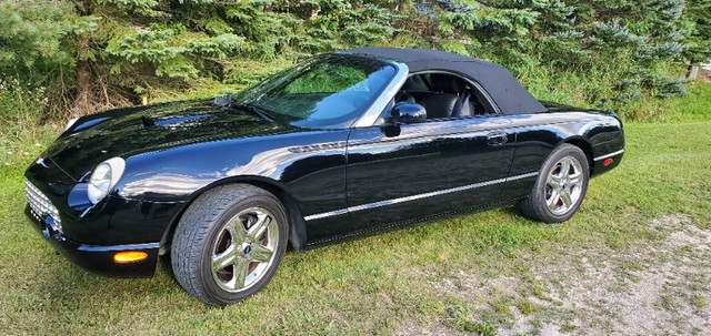 2002 FORD THUNDERBIRD - CONVERTIBLE in Classic Cars in Oakville / Halton Region - Image 2