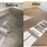 The House Carpet, Rugs And Sofa Cleaner