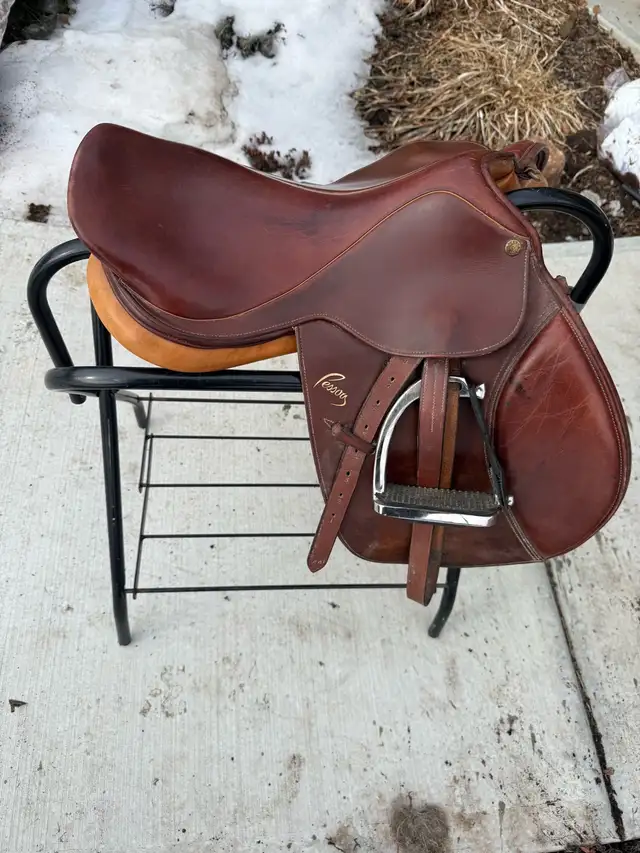 Pony Pessoa in Equestrian & Livestock Accessories in Red Deer - Image 4