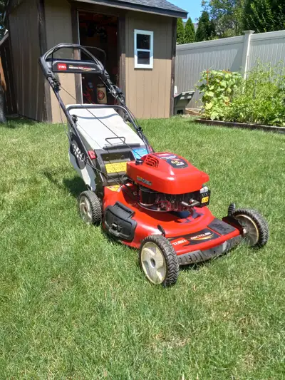 Lawn/Grass Cutting Lakeshore/Tecuseh, View more