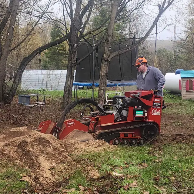 Stump Removal475477991322429441