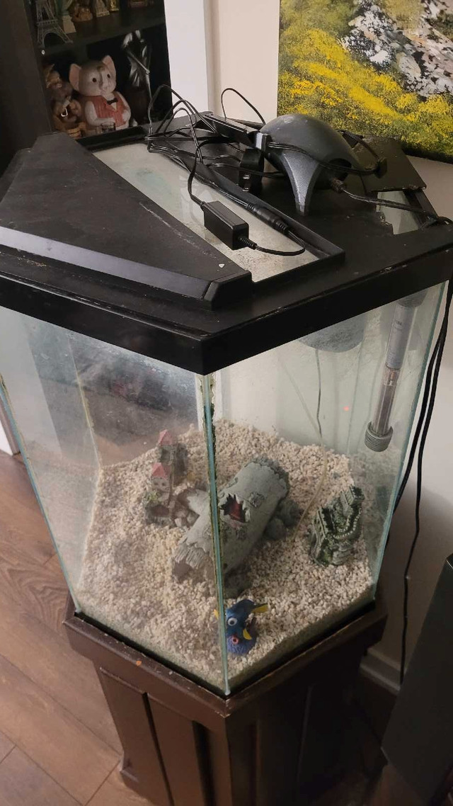 Fish tank and stand for sale  in Accessories in La Ronge