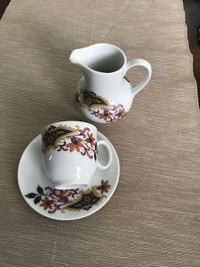 Bavaria fine porcelain espresso cup/saucer /creamer .