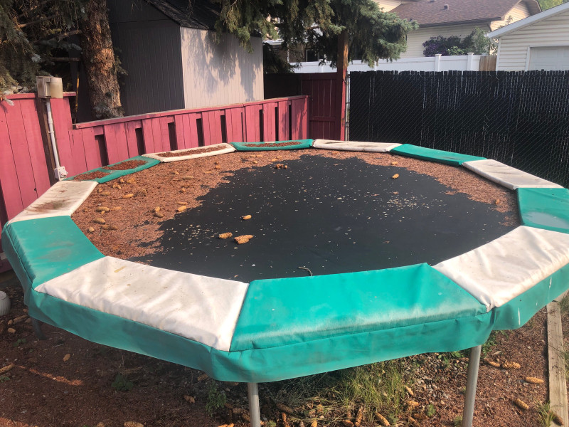 trampoline Free Stuff Calgary Kijiji