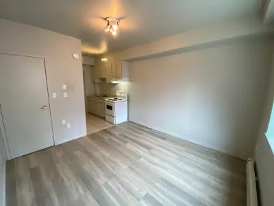 Studio/Bachelor units in Durand and Corktown neighbourhoods! -Available Now, multiple units -Fridge...