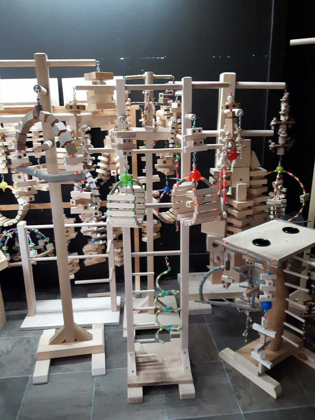 PLAY GYMS AND PLAY STANDS WITH TOYS in Birds for Rehoming in Oshawa / Durham Region