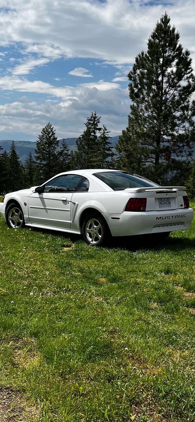 2004 Ford Mustang for sale Cars & Trucks Kamloops Kijiji