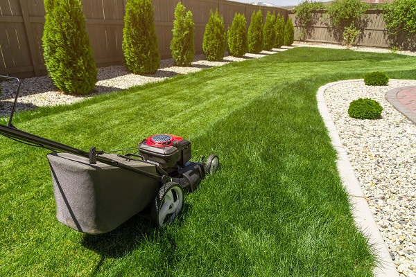 Local lawn care services!!!!  in Other in Bedford