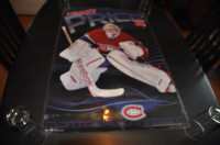 Carey price #31 montreal canadiens hockey nhl colour poster in p