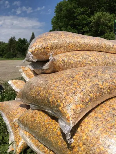 Located in Pickering for pick up PIGEON FEED SEED Goose duck chicken Premium chicken layer mash for...