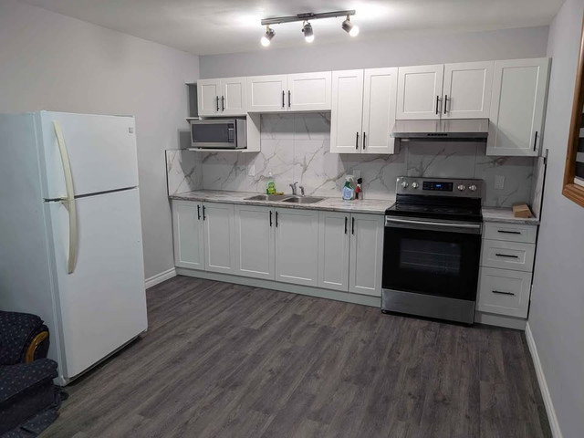 Private room for rent- FURNISHED - Huron Church Rd in Room Rentals & Roommates in Windsor Region - Image 3